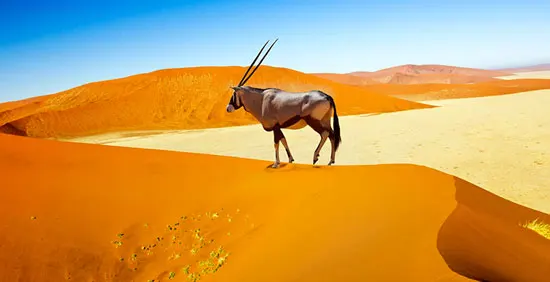 que faire en Namibie 